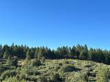 0 Sheep Ranch Road - Photo 41