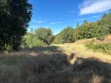 0 Sheep Ranch Road - Photo 42