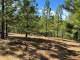 0 Sheep Ranch Road - Photo 43