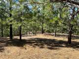 0 Sheep Ranch Road - Photo 44