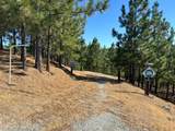0 Sheep Ranch Road - Photo 46
