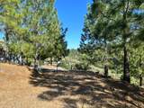 0 Sheep Ranch Road - Photo 49
