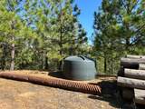 0 Sheep Ranch Road - Photo 5