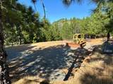 0 Sheep Ranch Road - Photo 50