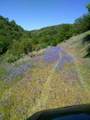 0 Sheep Ranch Road - Photo 51
