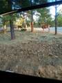 0 Sheep Ranch Road - Photo 52