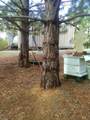 0 Sheep Ranch Road - Photo 53