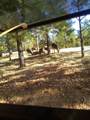 0 Sheep Ranch Road - Photo 54