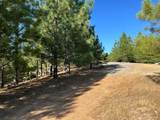 0 Sheep Ranch Road - Photo 6