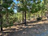 0 Sheep Ranch Road - Photo 7