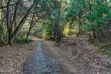 21901 Marcus Lane - Photo 13
