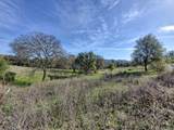 668 Murphys Grade Road - Photo 3