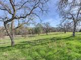 668 Murphys Grade Road - Photo 6