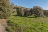 670 Murphys Grade Road - Photo 3