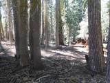 0 Kitch Trail - Photo 3