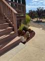 1026 Coyote Creek Road - Photo 41