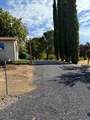 1026 Coyote Creek Road - Photo 47