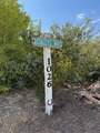 1026 Coyote Creek Road - Photo 53