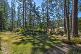 105 Avery Sheep Ranch Road - Photo 41