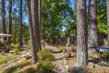 105 Avery Sheep Ranch Road - Photo 45