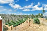 6640 Railroad Flat Road - Photo 45