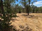 4088 Bartelink Drive - Photo 5