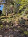 1984 Pine Cone Drive - Photo 1