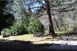 1984 Pine Cone Drive - Photo 9