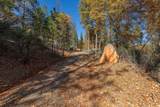 271 Sierra Madre Road - Photo 58
