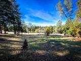 297 Forest Meadows Drive - Photo 1