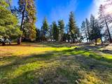 297 Forest Meadows Drive - Photo 3
