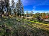 297 Forest Meadows Drive - Photo 8