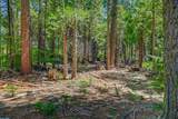 10 Timber Trail Court - Photo 7