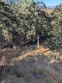 4625 Bayview Drive - Photo 5