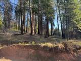 5026 Old Mine Road - Photo 1