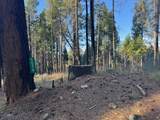5026 Old Mine Road - Photo 2