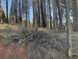 5026 Old Mine Road - Photo 3