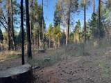 5026 Old Mine Road - Photo 5