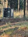 5026 Old Mine Road - Photo 7