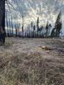 0 Forest Glen @ Winding Way - Photo 4