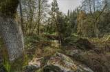 15824 Clover Valley Road - Photo 30