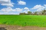 27150 Pierce Ranch Road - Photo 4