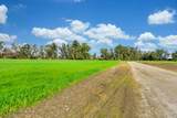 27150 Pierce Ranch Road - Photo 6