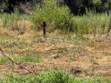 505 Zeff Road - Photo 5
