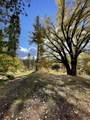 180 Dutch Flat Road - Photo 34