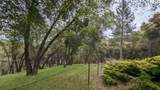 8209 Mountain Meadow Drive - Photo 65