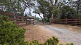 8209 Mountain Meadow Drive - Photo 86