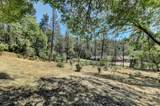 10061 Alta Sierra Drive - Photo 15