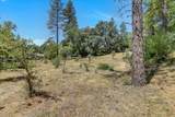10061 Alta Sierra Drive - Photo 38