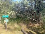 10986 Tyler Foote Crossing Road - Photo 1